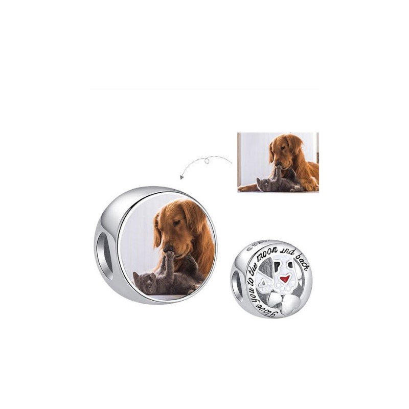 Charm plata mascota perro redondo regalo